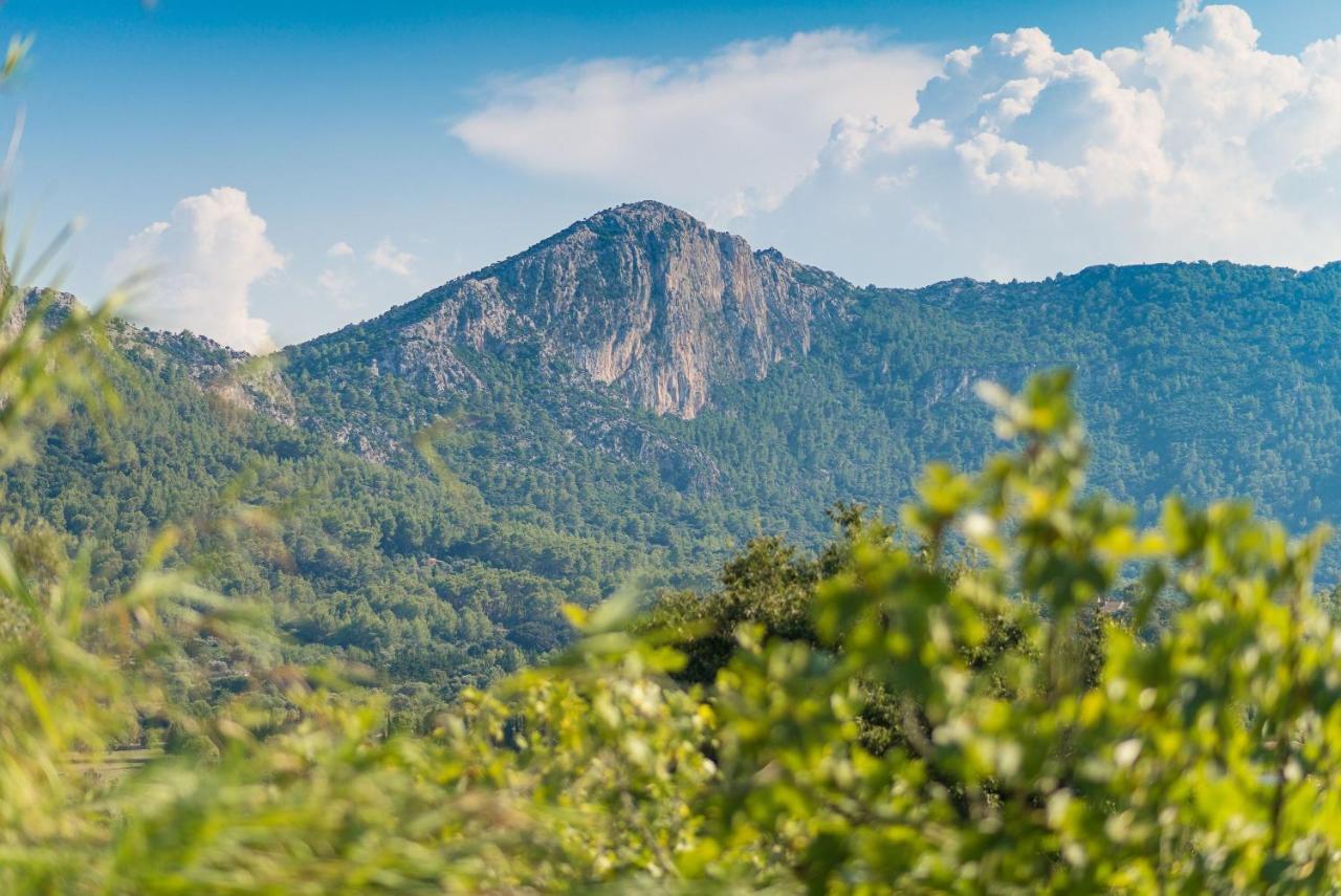 Finca Coster Pollença Dış mekan fotoğraf