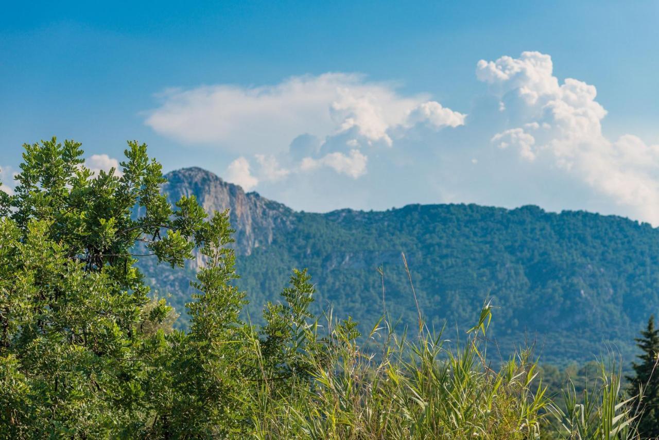 Finca Coster Pollença Dış mekan fotoğraf